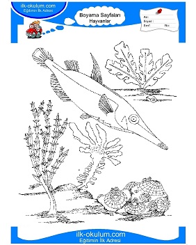 Çocuklar İçin Deniz Yaşamı Boyama Sayfaları 